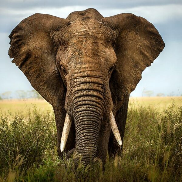Vist Tanzania
