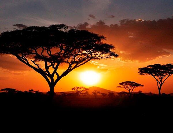 Ngorongoro